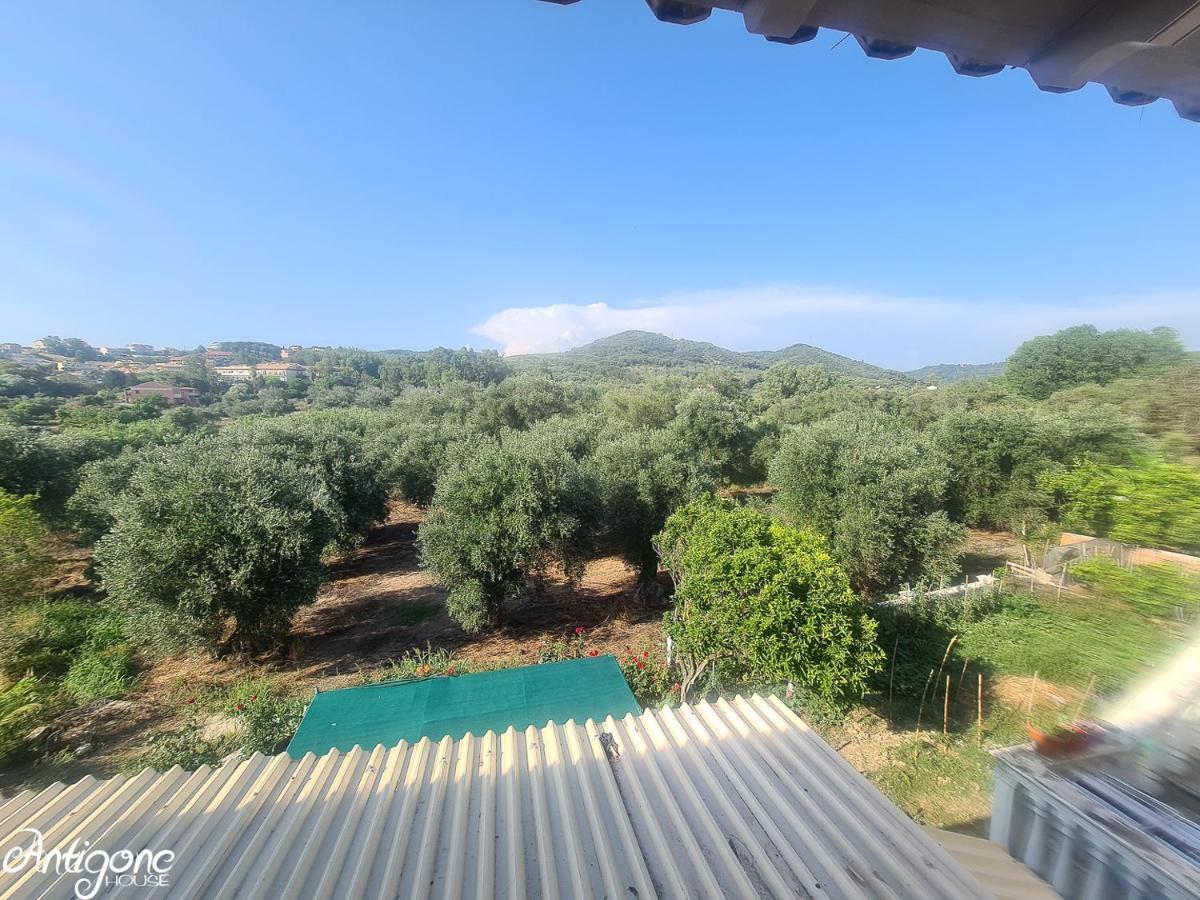 Antigone House Villa Agios Stefanos Avliotes  Екстериор снимка